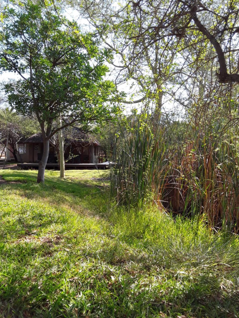 Bush Pub & Inn Hoedspruit Exterior foto