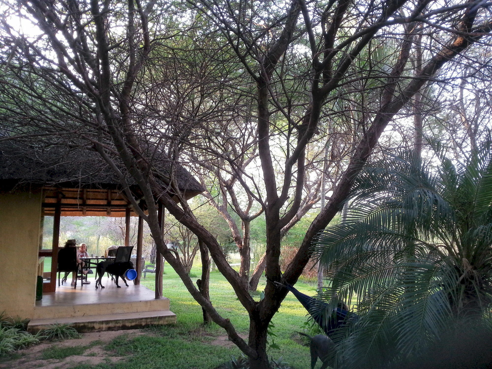 Bush Pub & Inn Hoedspruit Exterior foto
